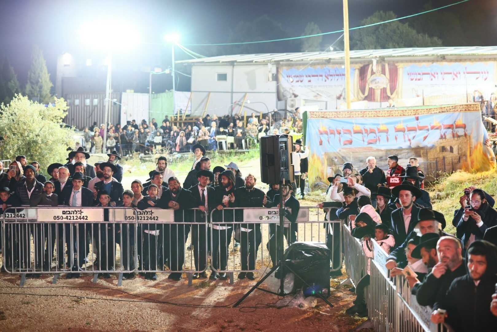 גלריית מירון 8